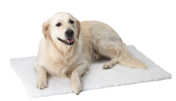 KRUUSE Vet Bed Grey, 100 x 75 cm